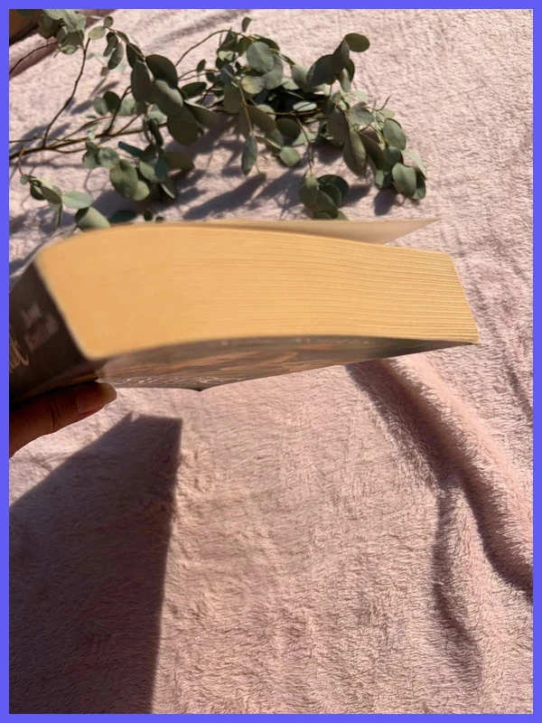 Boek "De Ridders van het Smaragd, Deel 1: Het Vuur in de Hemel" - Anne Robillard <3 – photo 4